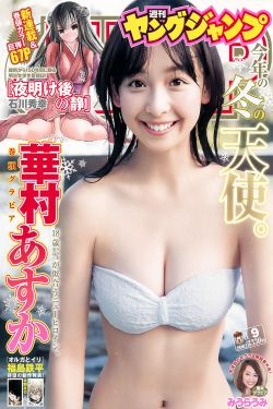 风雨上海滩 电视剧